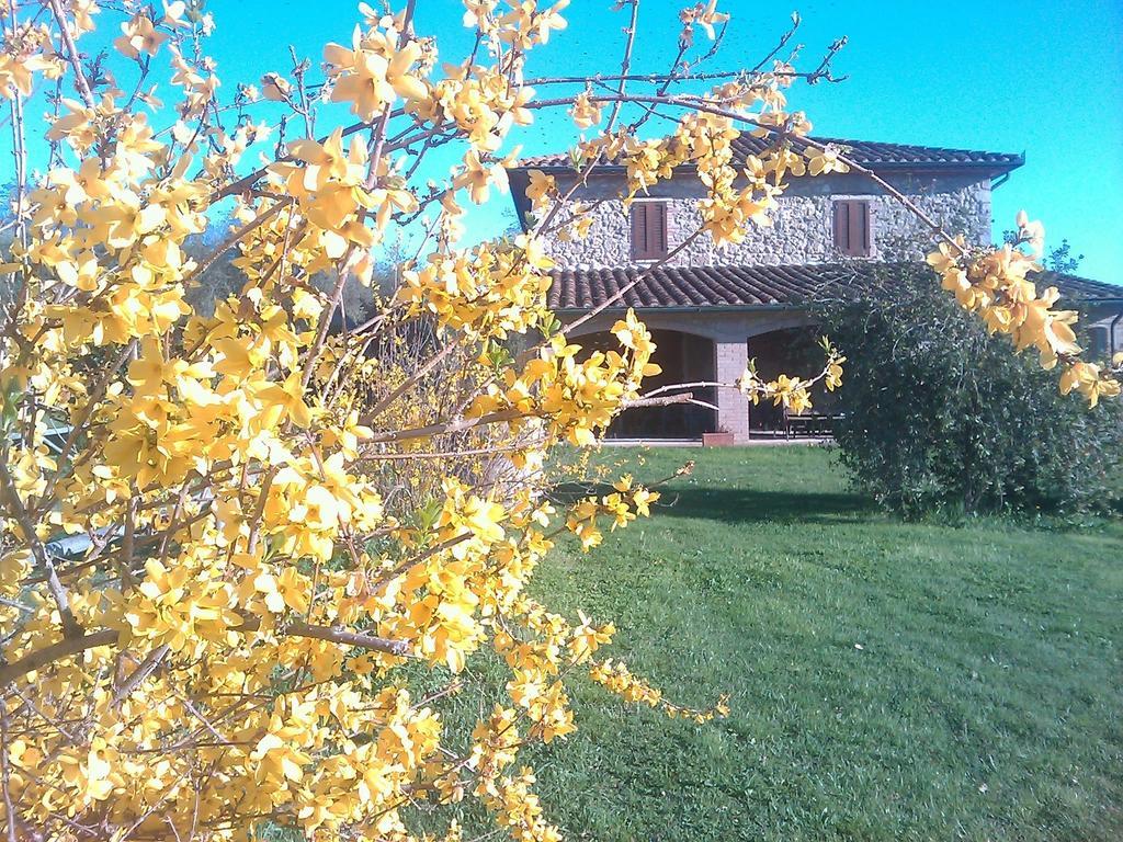 Agriturismo Il Poggiolo Montemerano Exterior photo